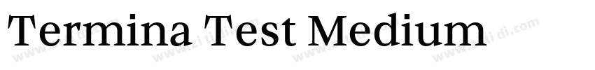 Termina Test Medium字体转换